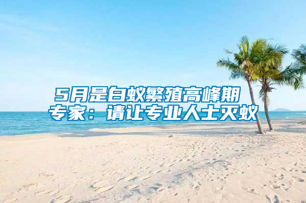 5月是白蟻繁殖高峰期 專家:請讓專業(yè)人士滅蟻
