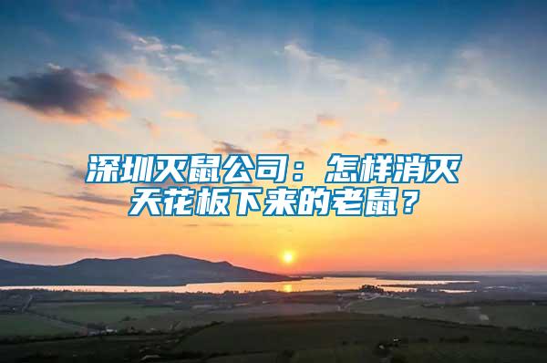 深圳滅鼠公司：怎樣消滅天花板下來(lái)的老鼠？