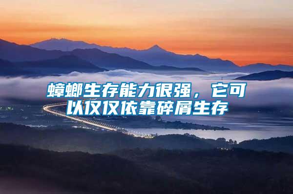 蟑螂生存能力很強(qiáng)，它可以僅僅依靠碎屑生存