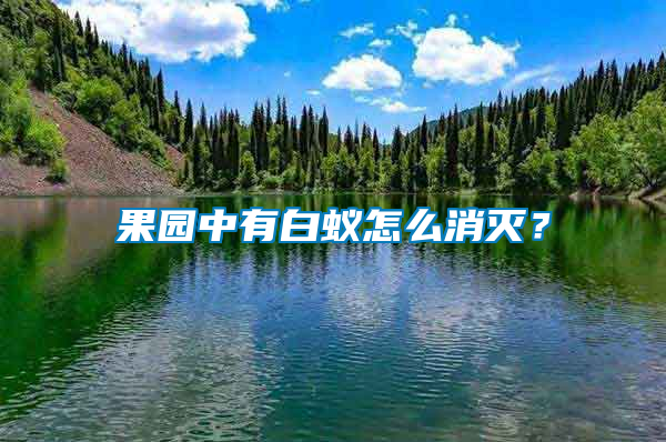 果園中有白蟻怎么消滅?