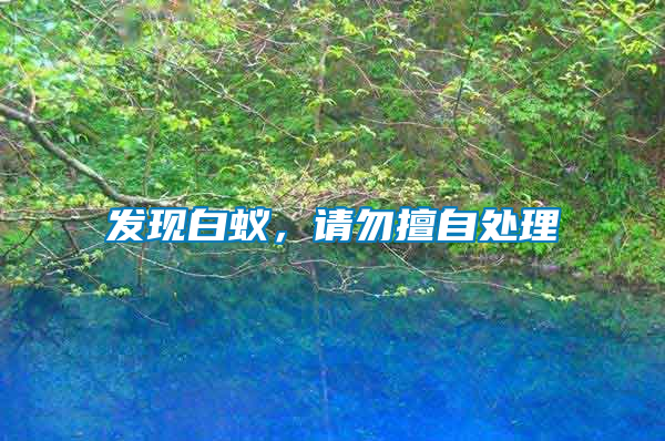 發(fā)現(xiàn)白蟻，請勿擅自處理