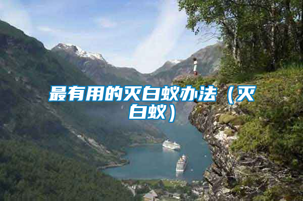 最有用的滅白蟻辦法(滅白蟻)