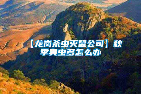 【龍崗殺蟲(chóng)滅鼠公司】秋季臭蟲(chóng)多怎么辦