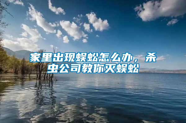 家里出現(xiàn)蜈蚣怎么辦，殺蟲公司教你滅蜈蚣