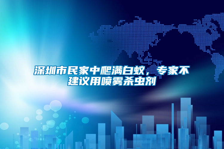 深圳市民家中爬滿白蟻，專家不建議用噴霧殺蟲劑