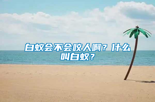白蟻會不會咬人?。渴裁唇邪紫?？