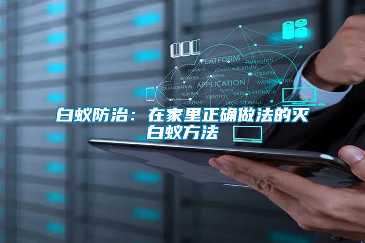 白蟻防治:在家里正確做法的滅白蟻方法