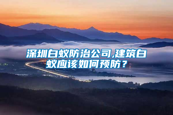 深圳白蟻防治公司,建筑白蟻應(yīng)該如何預(yù)防？