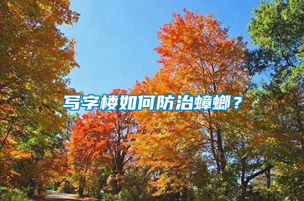 寫字樓如何防治蟑螂？