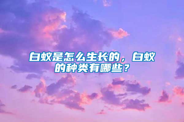 白蟻是怎么生長的，白蟻的種類有哪些？