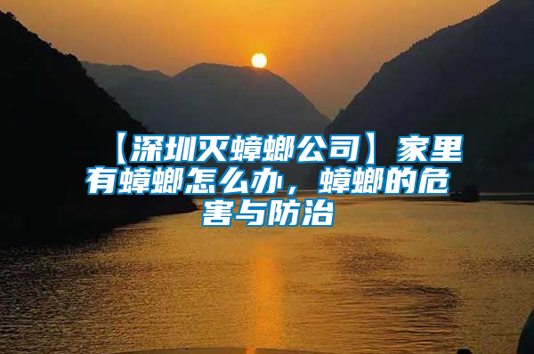 【深圳滅蟑螂公司】家里有蟑螂怎么辦，蟑螂的危害與防治