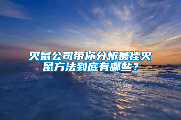 滅鼠公司帶你分析最佳滅鼠方法到底有哪些？