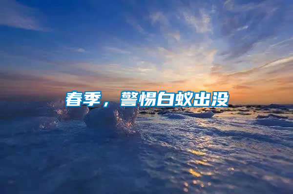 春季，警惕白蟻出沒