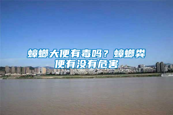 蟑螂大便有毒嗎？蟑螂糞便有沒有危害