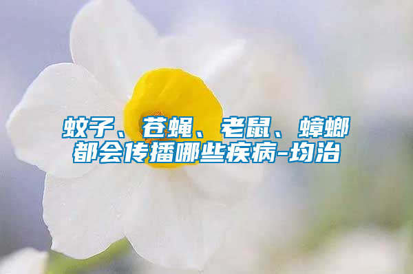 蚊子、蒼蠅、老鼠、蟑螂都會(huì)傳播哪些疾病-均治