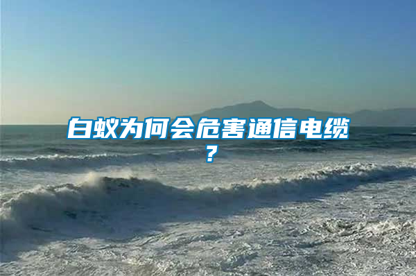 白蟻為何會危害通信電纜？